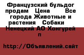 Французский бульдог продам › Цена ­ 1 - Все города Животные и растения » Собаки   . Ненецкий АО,Хонгурей п.